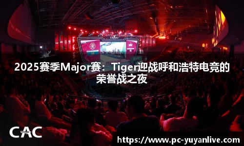 2025赛季Major赛：Tiger迎战呼和浩特电竞的荣誉战之夜